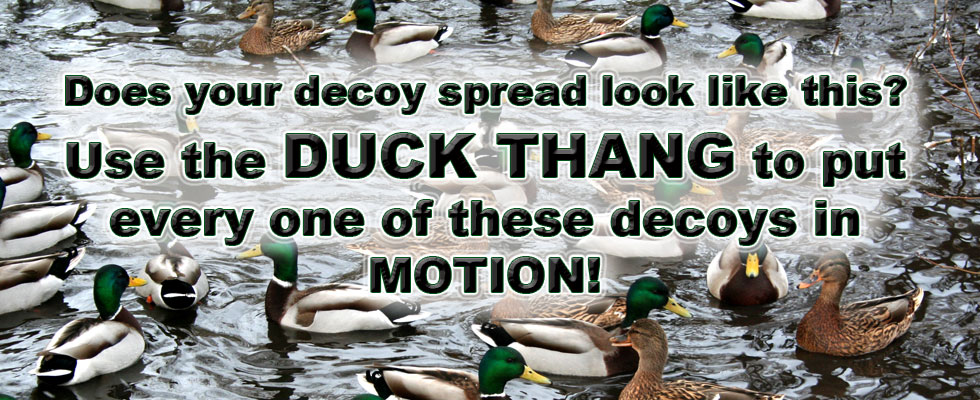 Put Your Decoy Spread in Motion