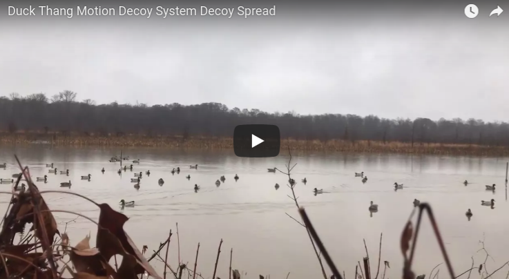 Duck Thang Motion Decoy System Decoy Spread