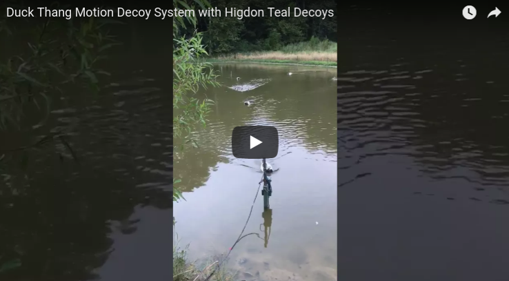Duck Thang Motion Decoy System with Higdon Teal Decoys