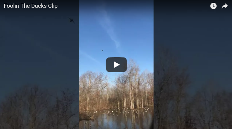 Foolin the Ducks Video