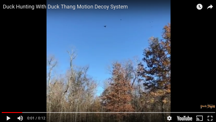 Duck Hunting with the Duck Thang Motion Decoy System