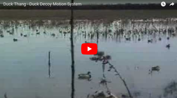 Duck Thang Motion Decoy System in Action